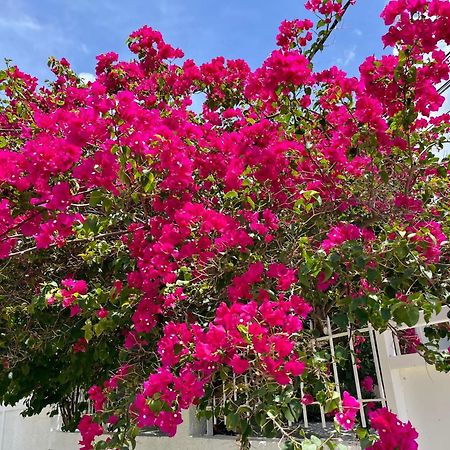 Les Villas Du Bambou - Villa Paprika Jusqu'A 6 Pers Le Gosier  Exteriér fotografie