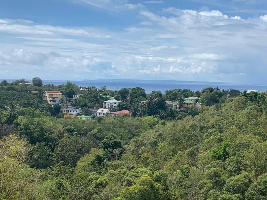 Les Villas Du Bambou - Villa Paprika Jusqu'A 6 Pers Le Gosier  Exteriér fotografie